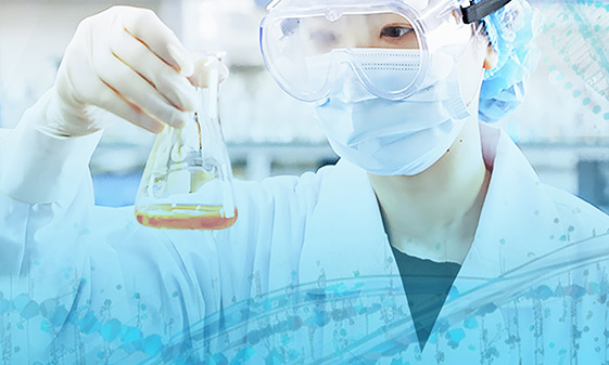 我們的研發領域