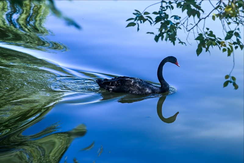 暖心工“匯”│“微光成炬 美在尋常”系列展播②